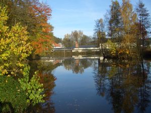 Unser Teich im Frühjahr
