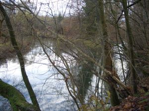 Einlauf Untergraben zurück zur Wupper.